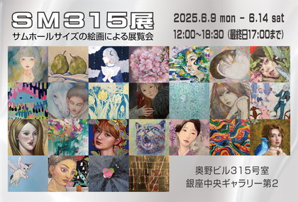SM315展