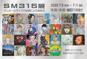 SM315展