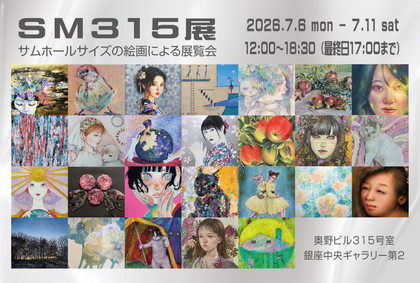 SM315展